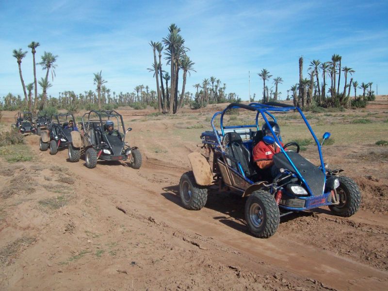 Activity Buggy Ride Palm Grove Of Marrakech