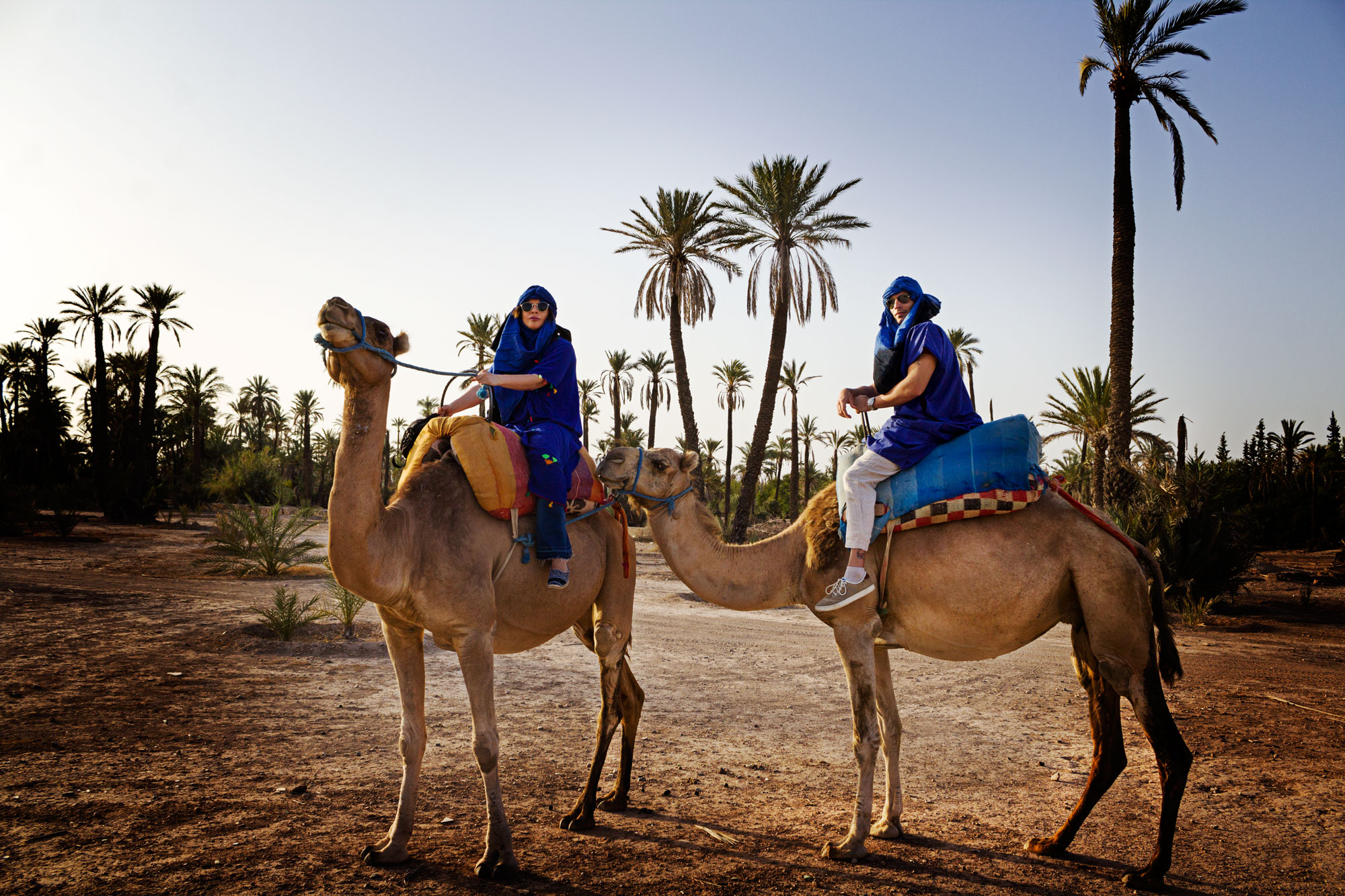 Activity Camel Ride Palm Grove Of Marrakech
