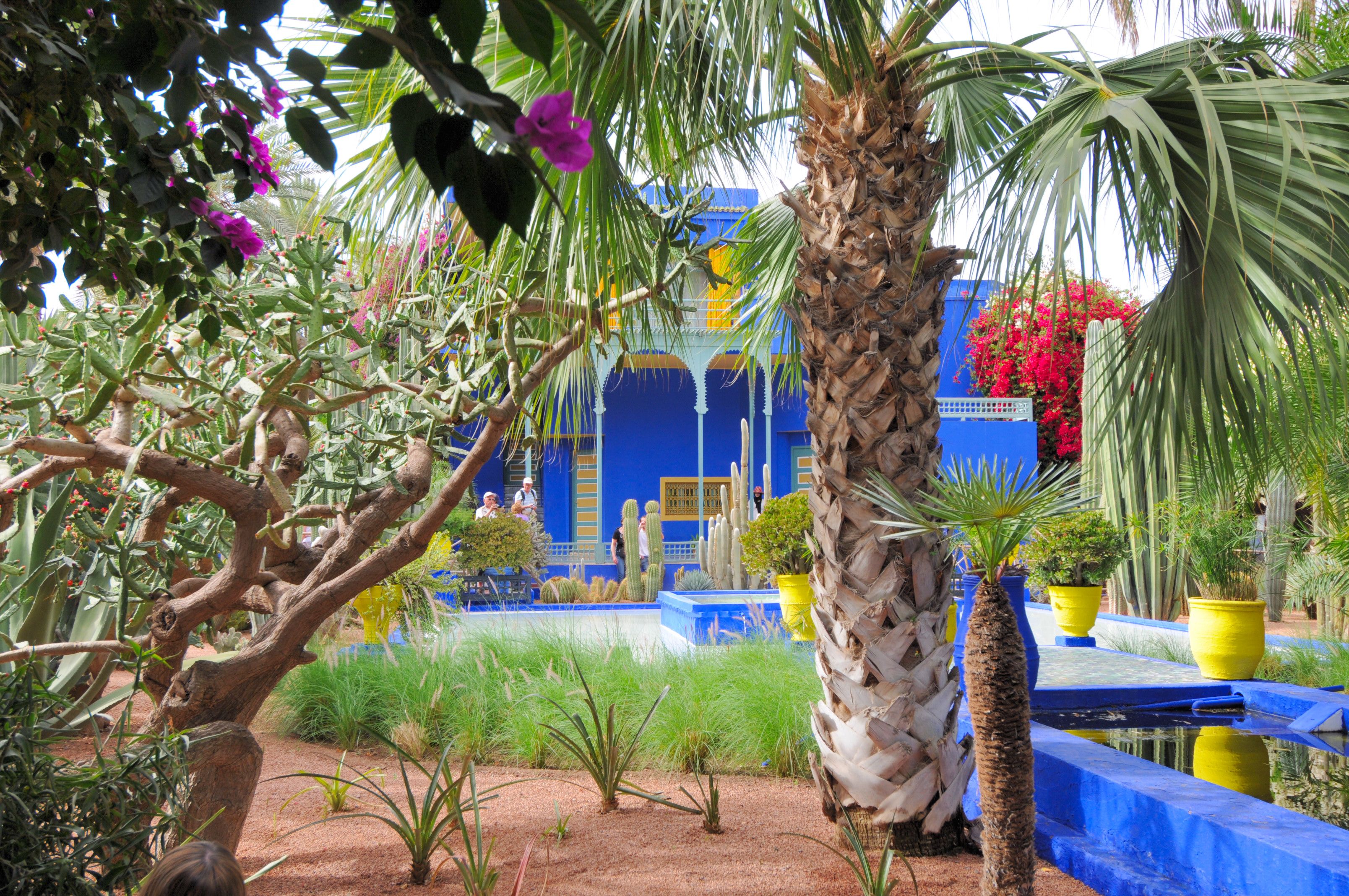 Full Day Gardens, Art & Concept Of Marrakech