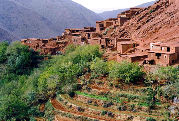 Day Trip To Ourika Valley From Marrakech